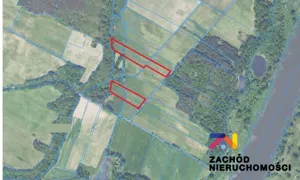 Działka 23 700,00 m², Dąbrowa, Sprzedaż
