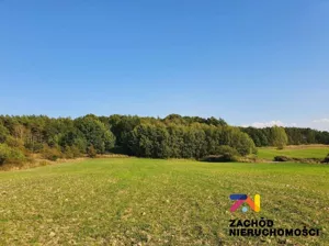 Działka 1 565,00 m², Drągowina, Sprzedaż
