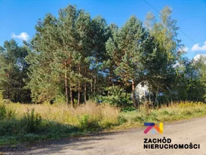 Działka 1 243,00 m², Droszków, Sprzedaż