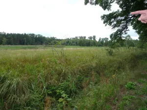 Działka 54 800,00 m², Dychów, Sprzedaż