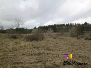 Działka 3 997,00 m², Górzykowo, Sprzedaż
