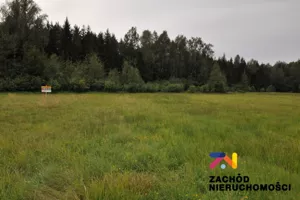 Działka 3 029,00 m², Krzywczyce, Sprzedaż