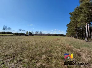 Działka 5 700,00 m², Lubieszów, Sprzedaż