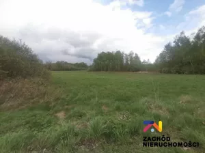 Działka 12 500,00 m², Piaski, Sprzedaż