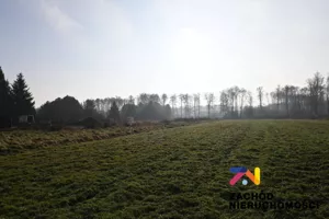 Działka 869,00 m², Płoty, Sprzedaż