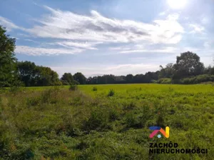 Działka 40 400,00 m², Przytok, Sprzedaż