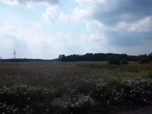 Działka 15 063,00 m², Radnica, Sprzedaż