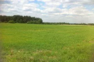 Działka 4 600,00 m², Radwanów, Sprzedaż
