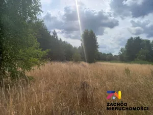 Działka 24 000,00 m², Świdnica, Sprzedaż