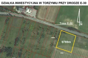 Działka 9 769,00 m², Torzym, Sprzedaż