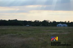 Działka 16 077,00 m², Zielona Góra, Ochla, ul.Działkowa, Wynajem