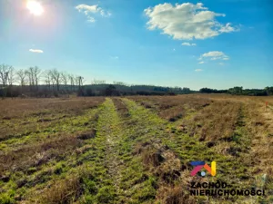 Działka 3 678,00 m², Zabór, Sprzedaż