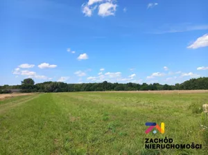 Działka 2 670,00 m², Zabór, Sprzedaż