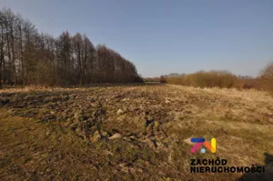 Działka 6 400,00 m², Zielona Góra, Jany, Sprzedaż