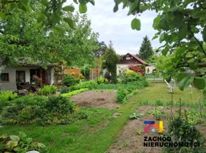 Działka 385,00 m², Zielona Góra, Jędrzychów, Sprzedaż