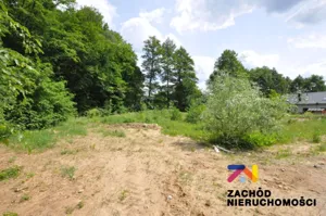 Działka 1 503,00 m², Zielona Góra, Ochla, Sprzedaż