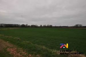Działka 6 000,00 m², Zielona Góra, Zawada, Sprzedaż
