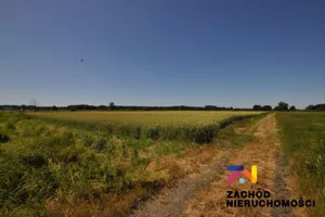 Działka 46 675,00 m², Zielona Góra, Zawada, Sprzedaż