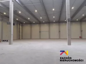 Lokal użytkowy 2 767,00 m², Zielona Góra, Wynajem