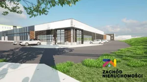 Magazyn 4 000,00 m², Zielona Góra, Wynajem