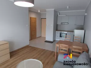 Apartament dwupokojowy 45,00 m², Zielona Góra, Wynajem