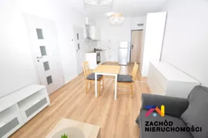 Mieszkanie dwupokojowe 33,00 m², Zielona Góra, Wynajem