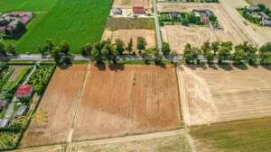 Działka 3 500,00 m², Krasienin-Kolonia, Sprzedaż