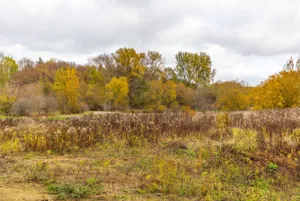 Działka 1 800,00 m², Lublin, Szerokie, Sprzedaż