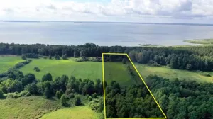 Działka 15 433,00 m², Dziubiele, Sprzedaż