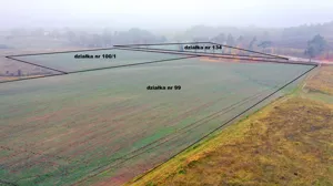 Działka 59 763,00 m², Dziubiele, Sprzedaż