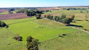 Działka 2 217,00 m², Kożuchy Wielkie, Sprzedaż