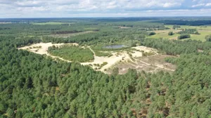 Działka 35 800,00 m², Nakły, Sprzedaż