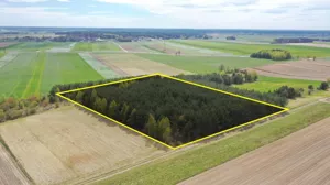 Działka 22 260,00 m², Pniewo, Sprzedaż