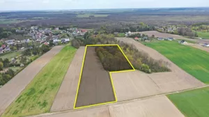 Działka 16 200,00 m², Pniewo, Sprzedaż