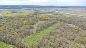 Działka 12 210,00 m², Pniewo, Sprzedaż