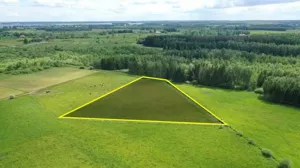 Działka 6 584,00 m², Róże, Sprzedaż