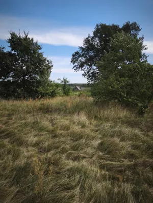 Działka 1 600,00 m², Strzemieczne-Wiosny, Sprzedaż