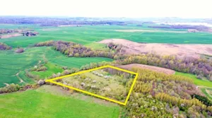 Działka 20 184,00 m², Węgielsztyn, Sprzedaż