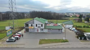 Lokal użytkowy 1 000,00 m², Mały Płock, Sprzedaż