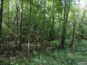 Działka 4 545,00 m², Budzów, Sprzedaż