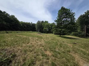 Działka 1 720,00 m², Skawce, Sprzedaż