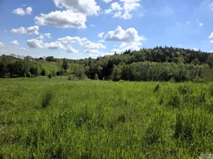 Działka 7 937,00 m², Stanisław Dolny, Sprzedaż