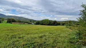 Działka 4 000,00 m², Zegartowice, Sprzedaż