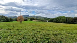 Działka 4 000,00 m², Zegartowice, Sprzedaż