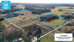 Działka 199 658,00 m², Dąbrówno, Sprzedaż