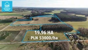 Działka 199 658,00 m², Dąbrówno, Sprzedaż