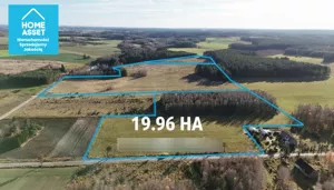 Działka 199 658,00 m², Dąbrówno, Sprzedaż