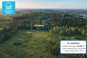 Działka 26 900,00 m², Bieszkowice, Gdańska, Sprzedaż