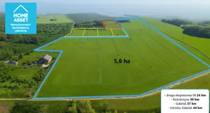 Działka 12 029,00 m², Nowy Wiec, Sprzedaż