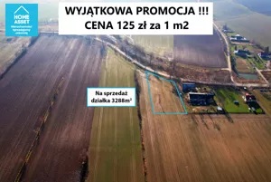 Działka 3 288,00 m², Sztutowo, Sprzedaż